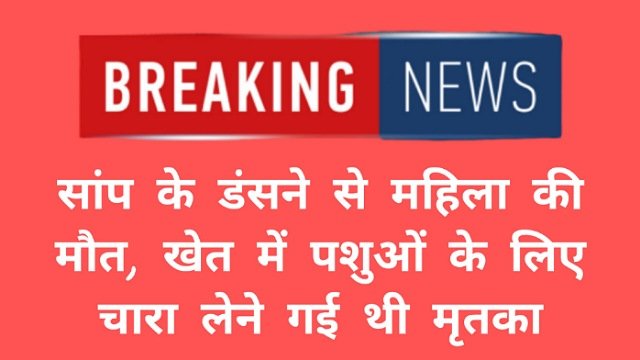 डूंगरपुर