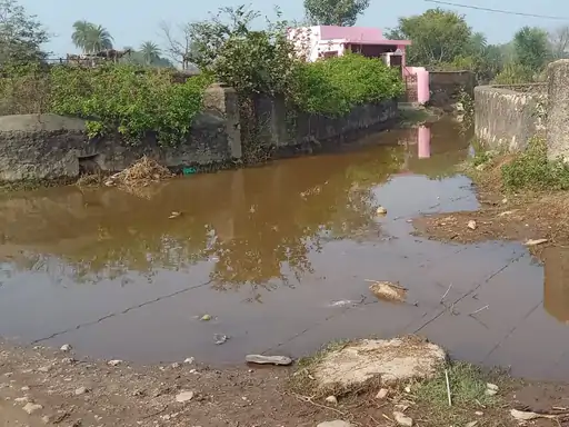 बोड़ीगामा बड़ा