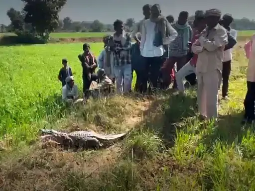 खड़गदा