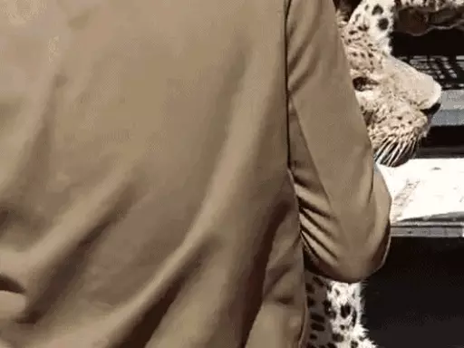 डूंगरपुर